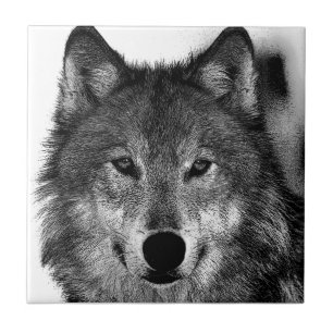 Trabalho de arte de Olhos do Lobo Negro e Branco