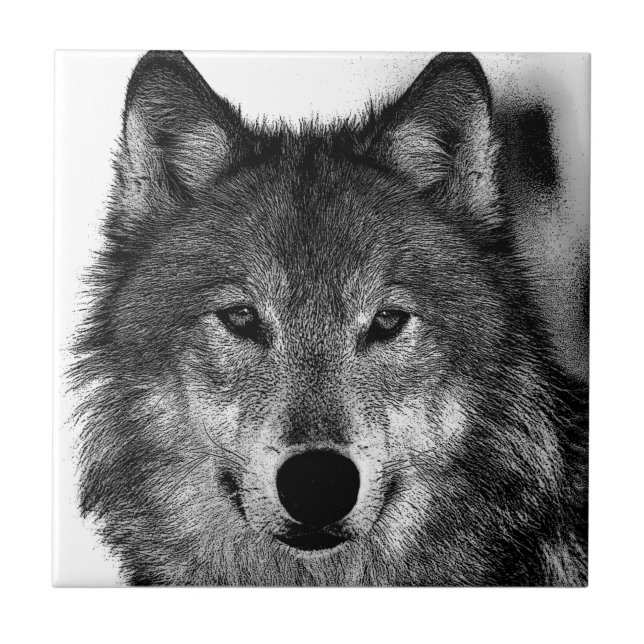 Trabalho de arte de Olhos do Lobo Negro e Branco (Frente)