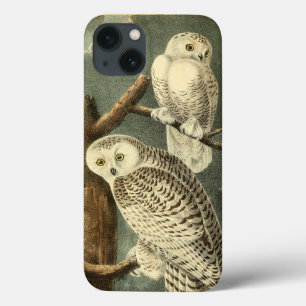 Trabalho de arte de Snowy Owl Audubon