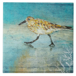 Trabalho de arte do Sandpiper Beach Shorebird Weat
