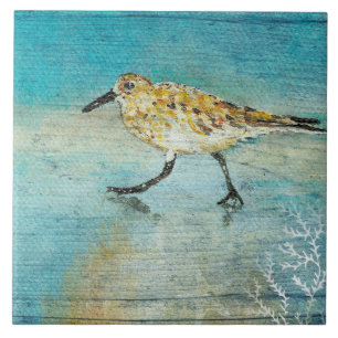 Trabalho de arte do Sandpiper Beach Shorebird Weat