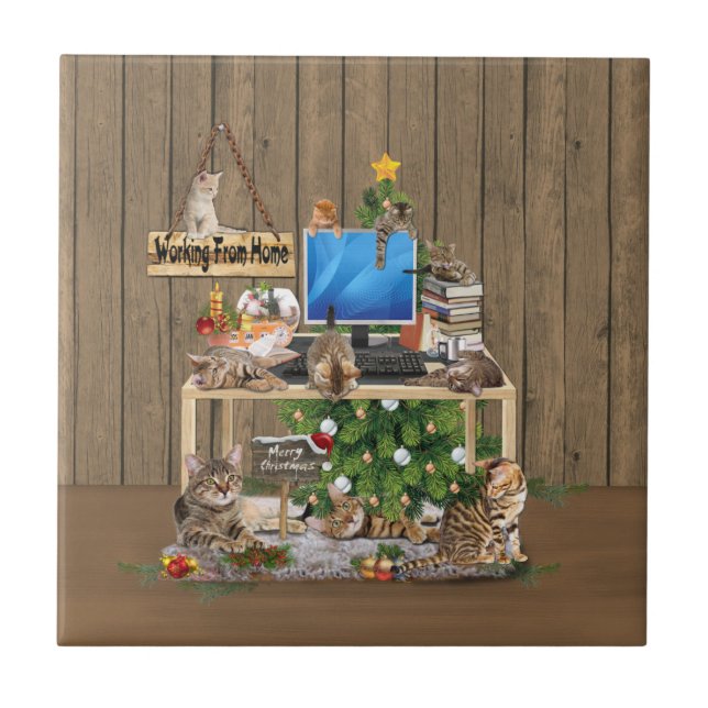 Trabalho de Natal de casa com meus gatos (Frente)