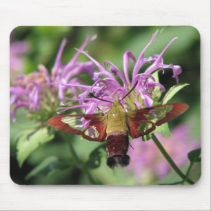 Traça de colibri Mousepad