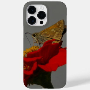 Traças e Zinnia vermelho