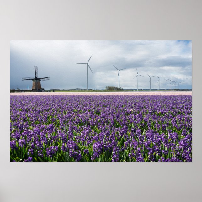 Traditional and modern windmill in Holland poster (Frente)