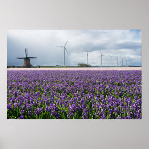Traditional and modern windmill in Holland poster