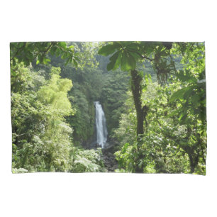 Traffic Falls Tropical RainForest Fotografia