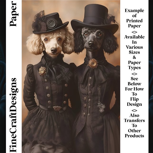 Traje Vitoriano Preto para Cachorro Poodle CP4 Pap (Criador carregado)