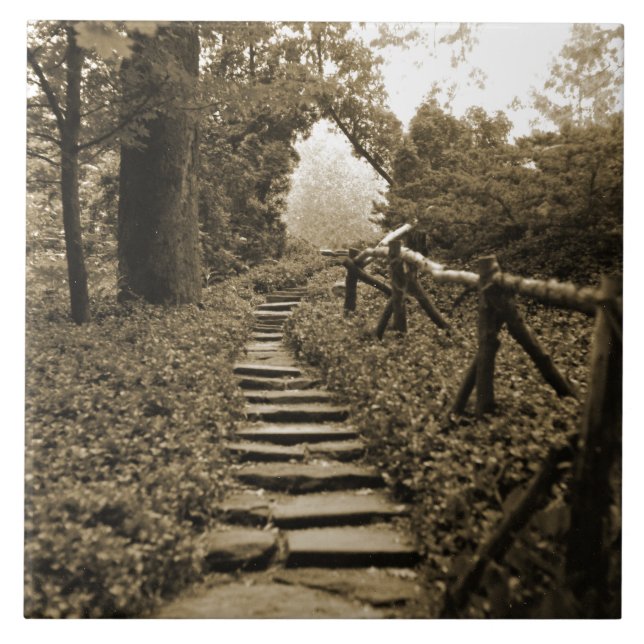 Trajeto a iluminar-se (Frente)