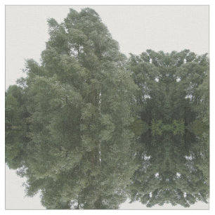 Trajeto através floresta verde do tecido modelado