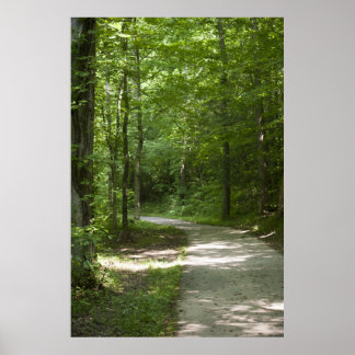 Trajetórias verdes 13 Poster