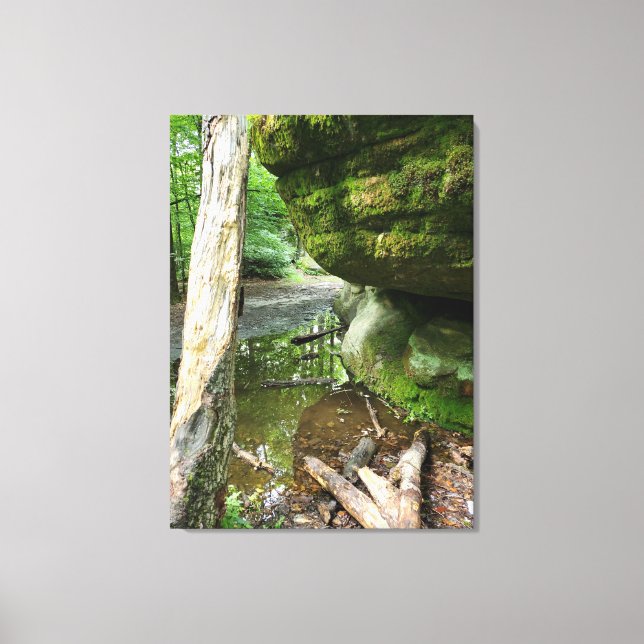 Tranquil Forest Canvas Print | Real Landscape (Frente)