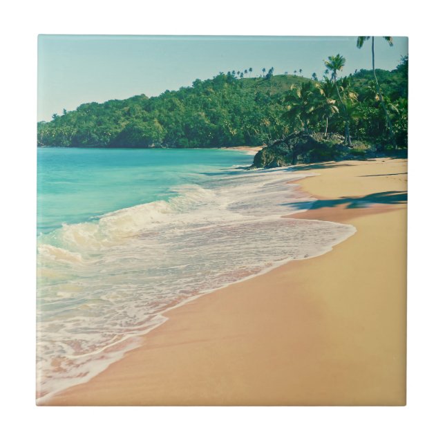 Tranquil Tropical Island Beach (Frente)