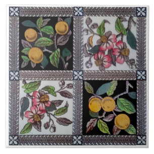 Transferência de Frutas e flores coloridas do Rep