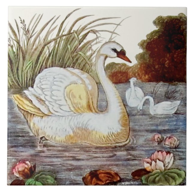 Transferware Swan Victoriano de cor manual Repro (Frente)