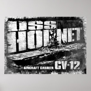 Transportadora aérea Hornet Poster