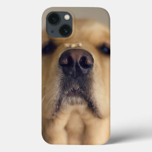 Tratamento de equilíbrio entre Ouros e recuperado