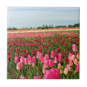 Trator Verde em Tulip Field, Oregon