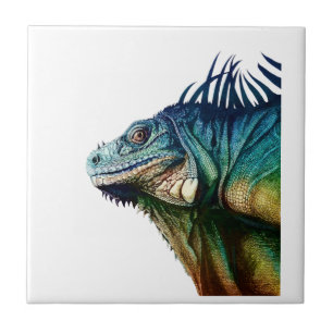 TRAVADO NOS MOMENTOS