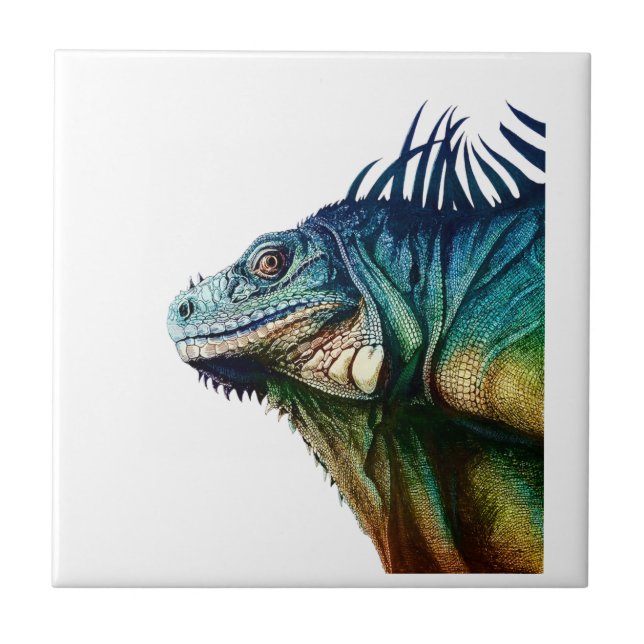 TRAVADO NOS MOMENTOS (Frente)