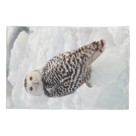 Travesseiro de Snowy Owl