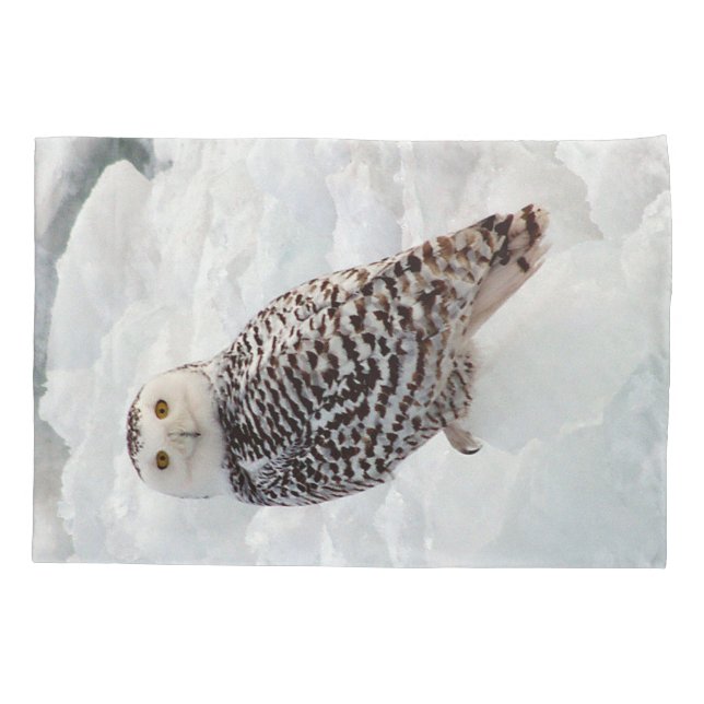 Travesseiro de Snowy Owl (Verso)