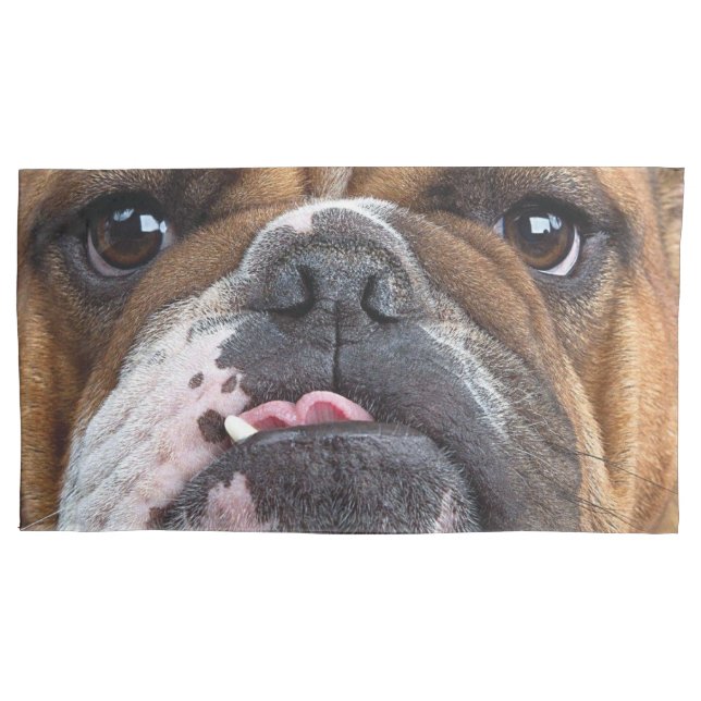 Travesseiro decorativo Inglês Bulldog (Frente)