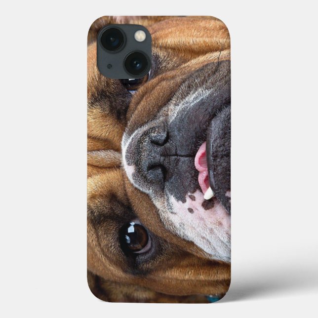 Travesseiro decorativo Inglês Bulldog (Verso)
