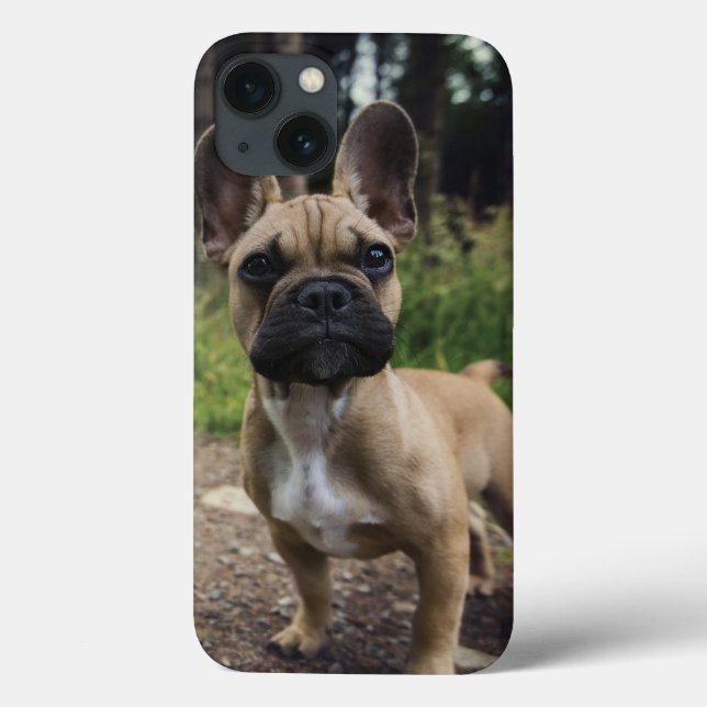 Travesseiro do Bulldog Francês (Verso)