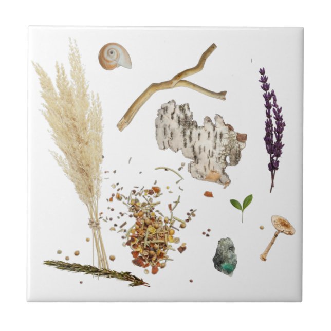 Treasures Ceramic Tile (Frente)