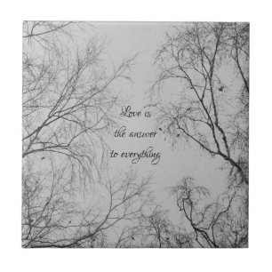 Trecho de Pássaro de inverno com citação de amo