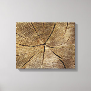 Tree Oak Cross Section Canvas Imprimir