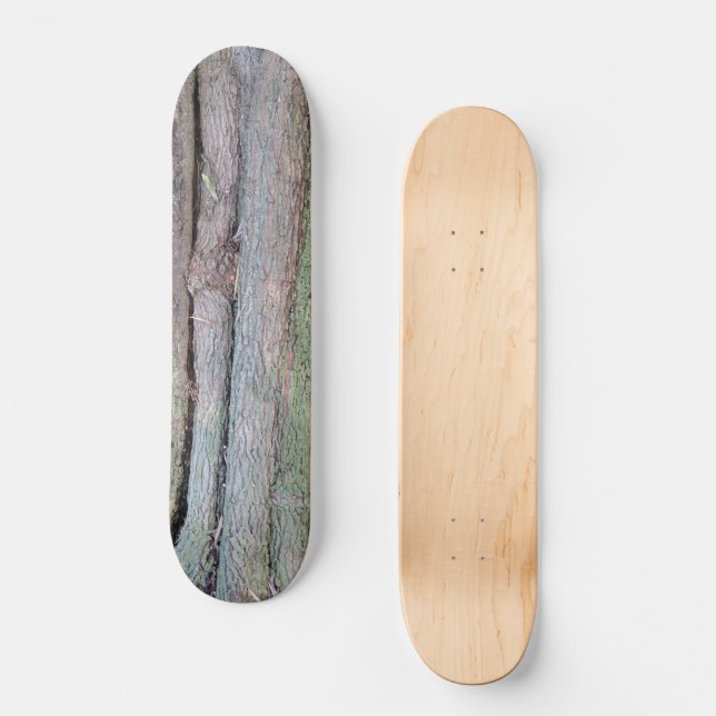 Tree Planet 5 Skateboard (Frente)