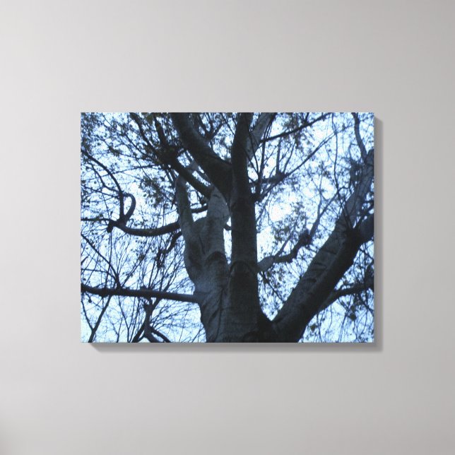 Tree Silhouket Photogarph Canvas Impressão (Frente)