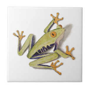 treefrog.jpg