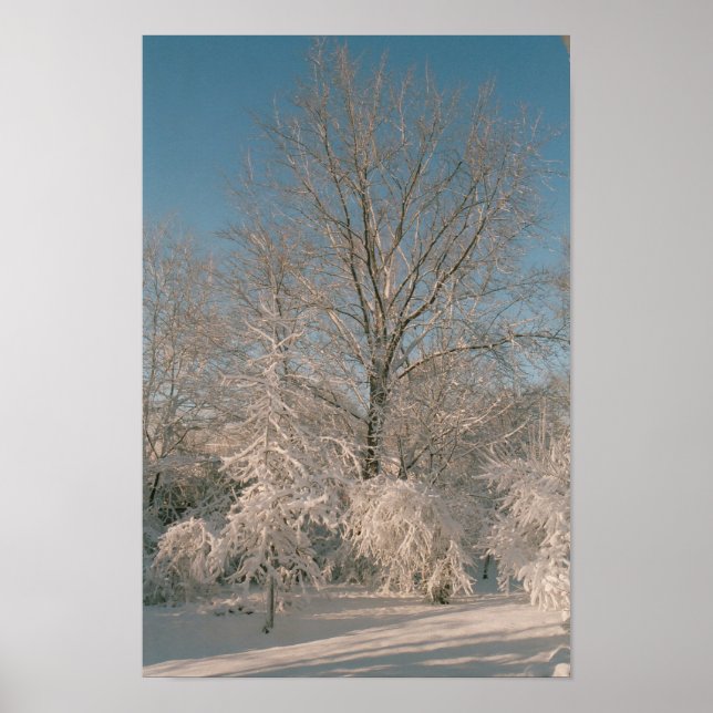Trees After the Snow Poster (Frente)