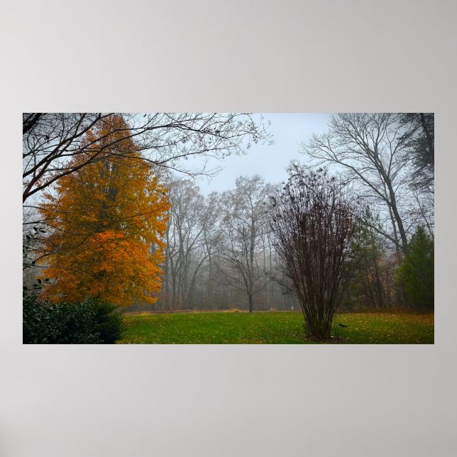 Trees & Fog,  Poster (Frente)