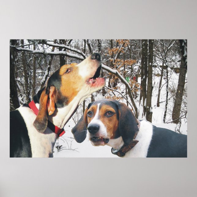 Treing Walker Coonhound Snowy Woods Poster (Frente)
