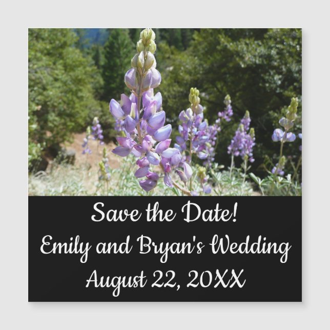 Tremoços de montanha em Yosemite (Frente)