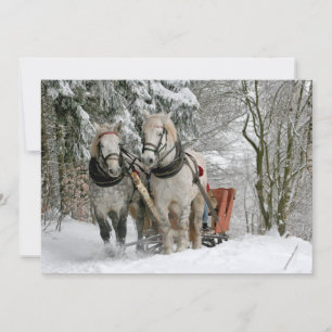 trenó+corrida,neve,floresta,cavalo,inverno,branco,