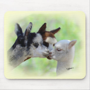 Três alpacas customizáveis Mousepad