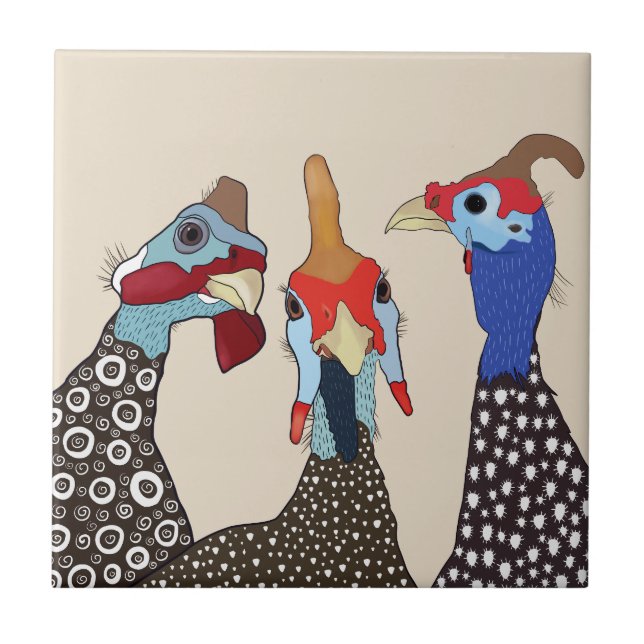 Três Aves De Cabra De Guiné Cortadas (Frente)