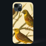 Três Aves Domésticas Empoleiradas em um Ramo<br><div class="desc">O artista W. Rutledge capturou perfeitamente as cores vivas dessas aves domésticas. Obtenha esta pintura simples,  mas lindamente realista. Vista lateral de dois pássaros amarelos e um pássaro mais escuro em um galho e olhando em direções diferentes.</div>