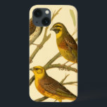 Três Aves Domésticas Empoleiradas em um Ramo<br><div class="desc">O artista W. Rutledge capturou perfeitamente as cores vivas dessas aves domésticas. Obtenha esta pintura simples,  mas lindamente realista. Vista lateral de dois pássaros amarelos e um pássaro mais escuro em um galho e olhando em direções diferentes.</div>
