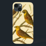 Três Aves Domésticas Empoleiradas em um Ramo<br><div class="desc">O artista W. Rutledge capturou perfeitamente as cores vivas dessas aves domésticas. Obtenha esta pintura simples,  mas lindamente realista. Vista lateral de dois pássaros amarelos e um pássaro mais escuro em um galho e olhando em direções diferentes.</div>