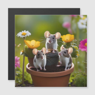 Três Camundongos Em Potes Flores,