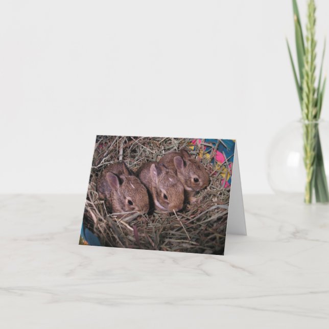 Três Em Um Cartões de agradecimentos De Linha (Frente)