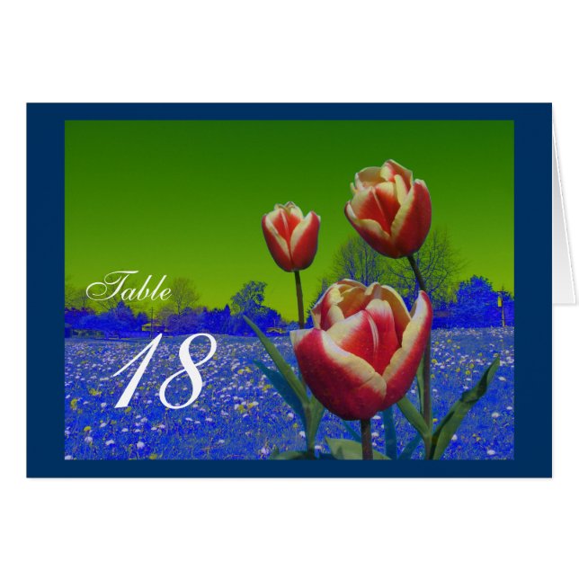 Três flores vermelhas de tulipa jantam cartões num (Frente horizontal)