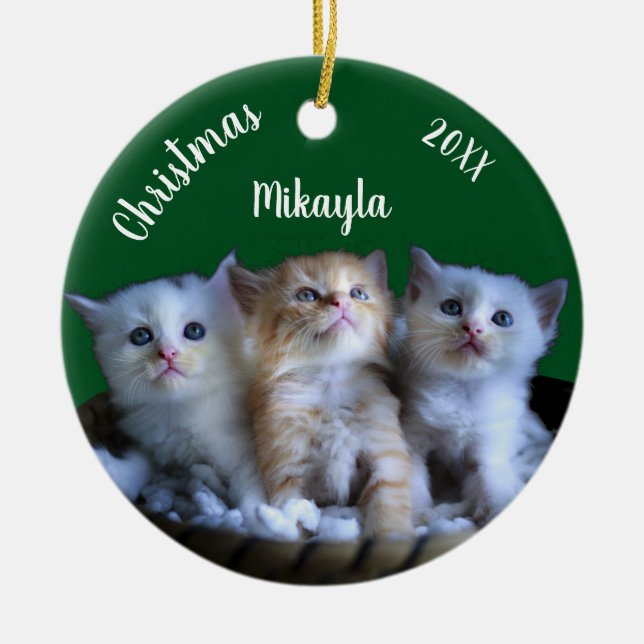 Três Gatinhos Cachorros Ornamento Cerâmico de Nata (Frente)