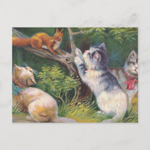 "Três Gatinhos e um Esquilo" Cartão Postal Antigo
